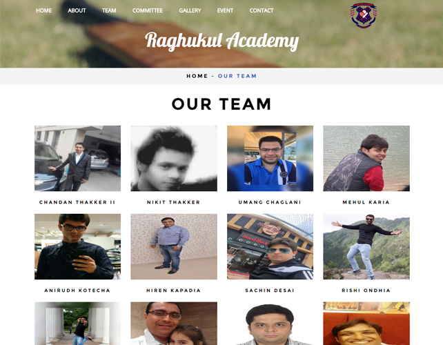 Cricket Academy Website Design